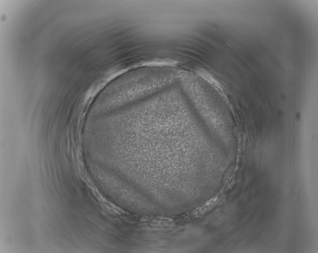 X0000081570337200701291220