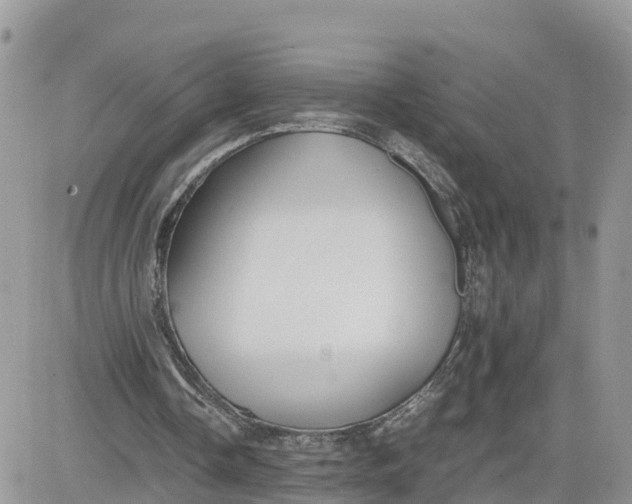 X0000081570338200701291220