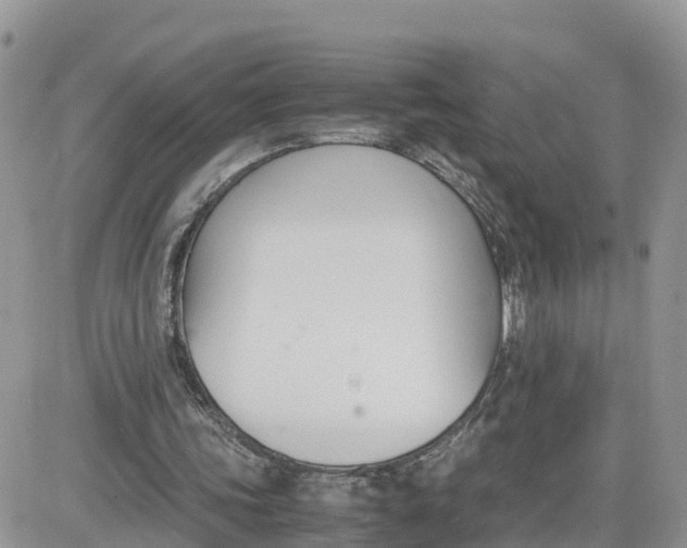 X0000081570339200701291220