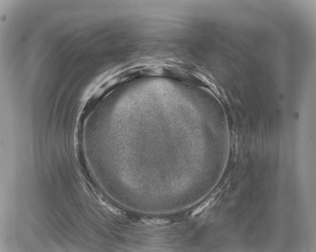 X0000081570340200701291220