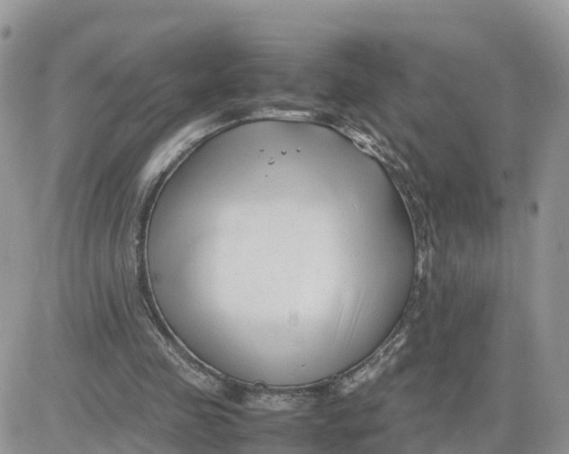 X0000081570341200701291220