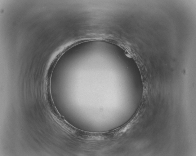 X0000081570342200701291220