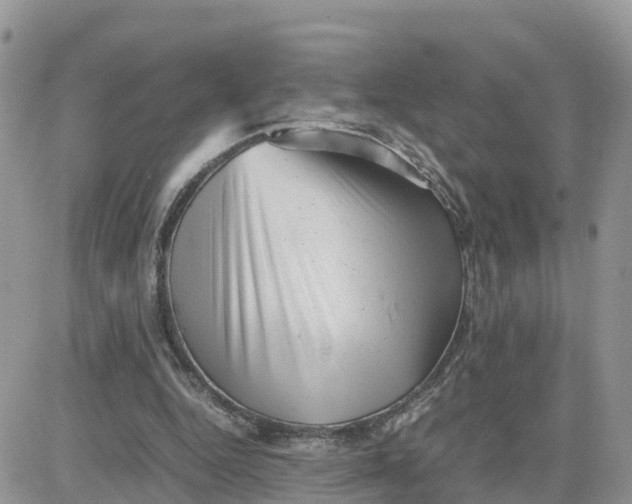 X0000081570344200701291220