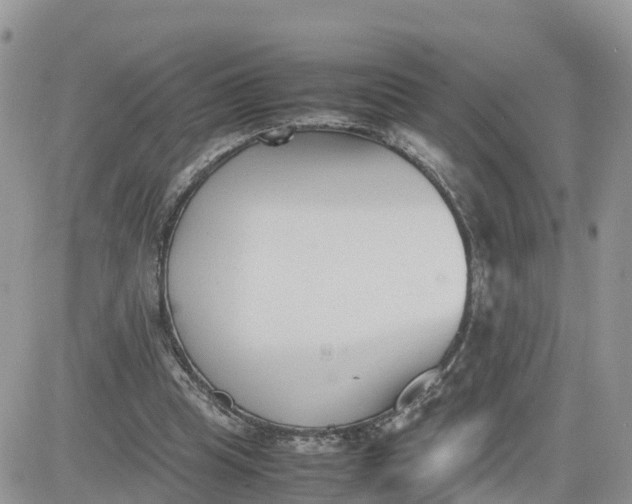 X0000081570345200701291220