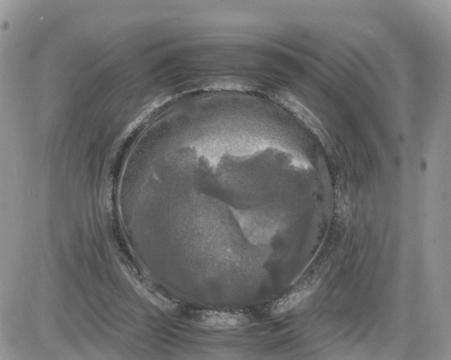 X0000081570347200701291220