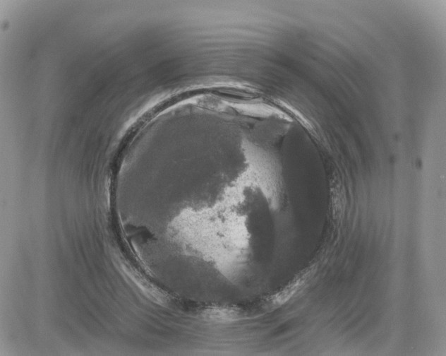 X0000081570350200701291220