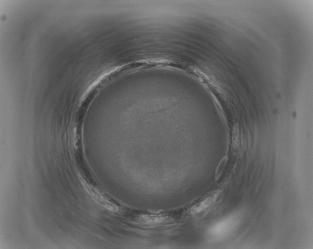 X0000081570351200701291220