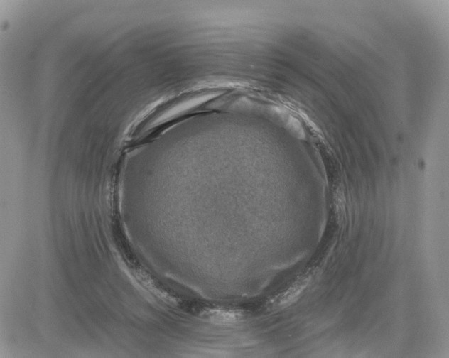 X0000081570352200701291220