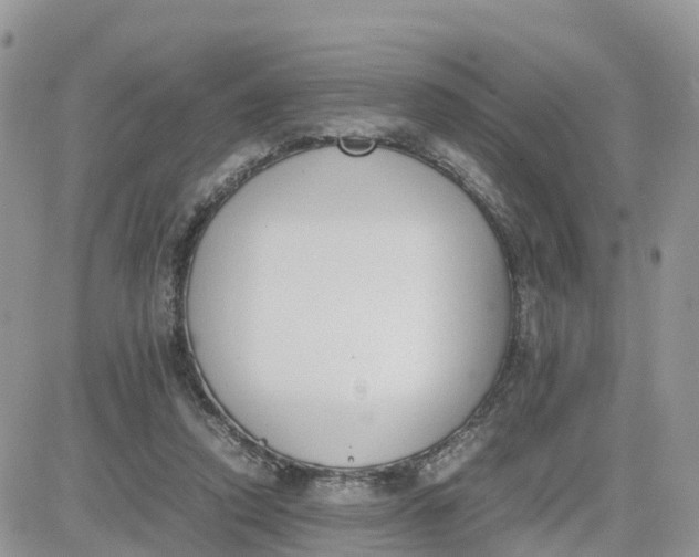 X0000081570354200701291220