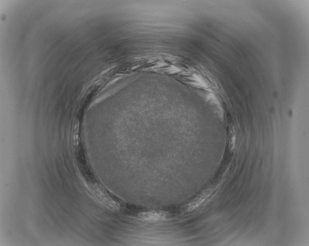 X0000081570356200701291220