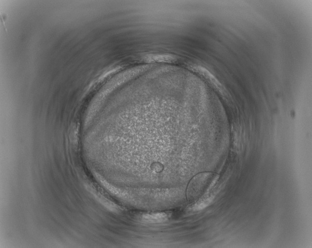 X0000081570357200701291220