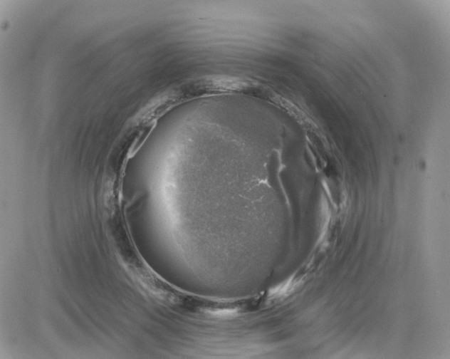 X0000081570360200701291221