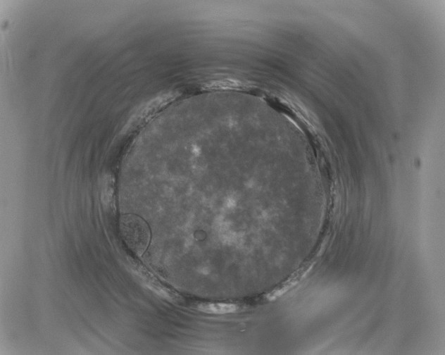 X0000081570361200701291221