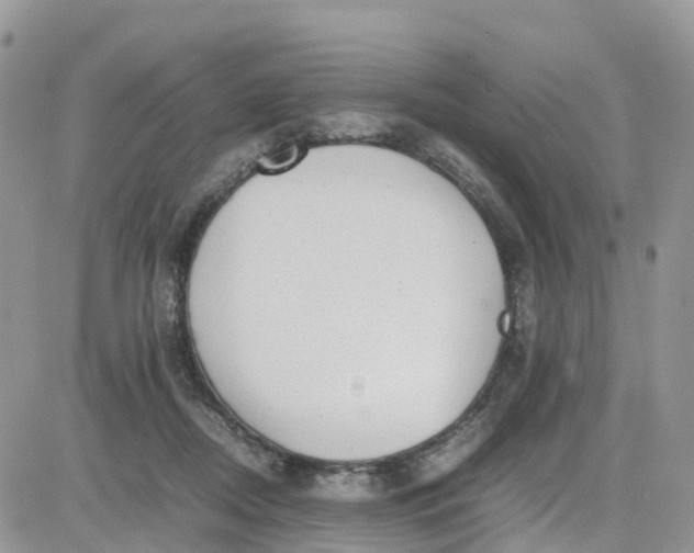 X0000081570362200701291221