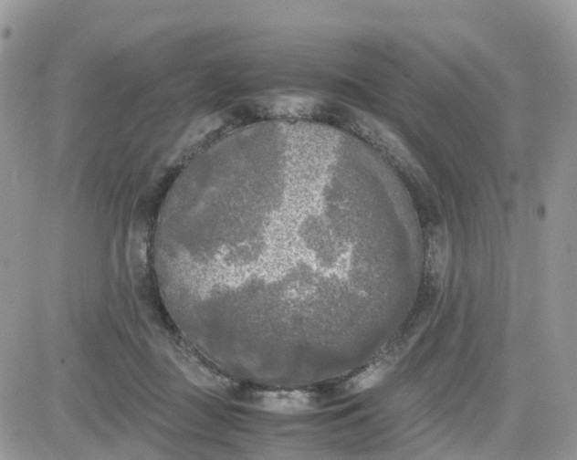 X0000081570363200701291221