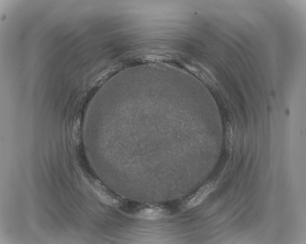 X0000081570364200701291221