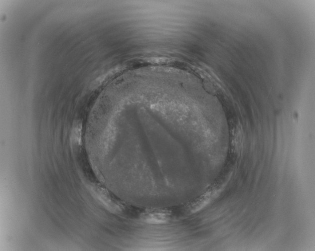 X0000081570368200701291221