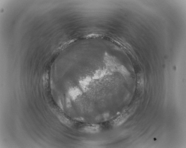 X0000081570369200701291221