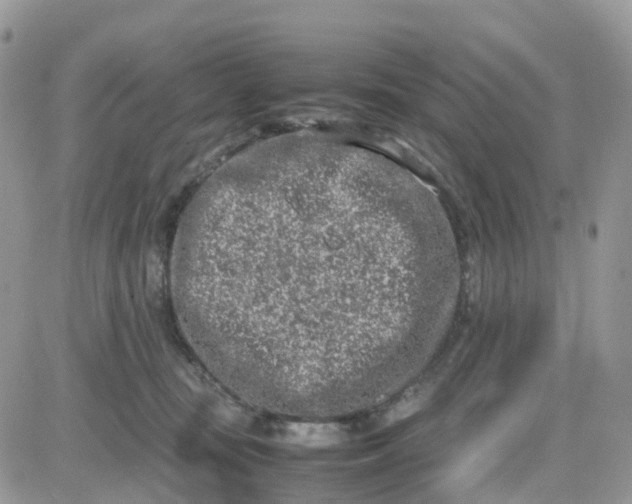 X0000081570371200701291221