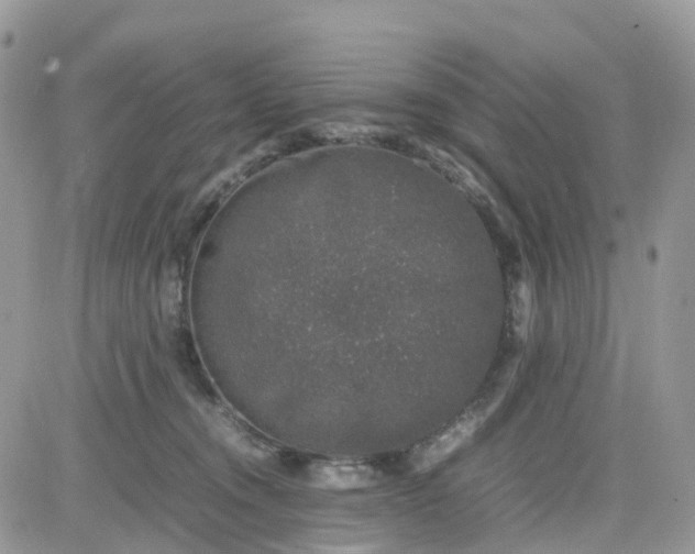 X0000081570372200701291221