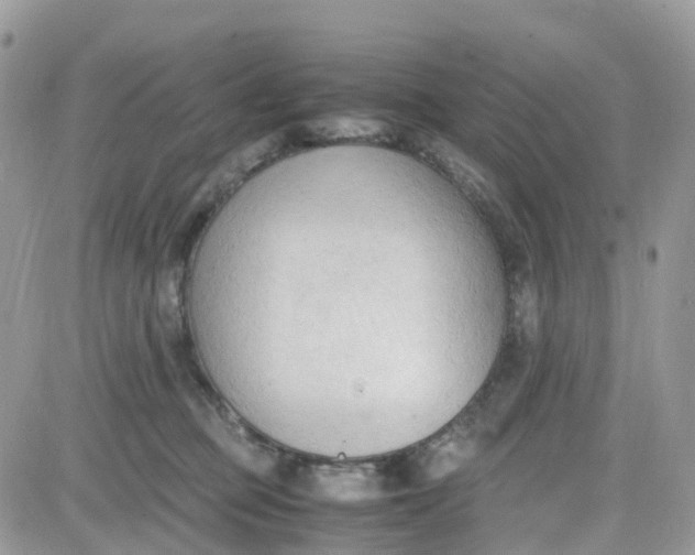 X0000081570373200701291221