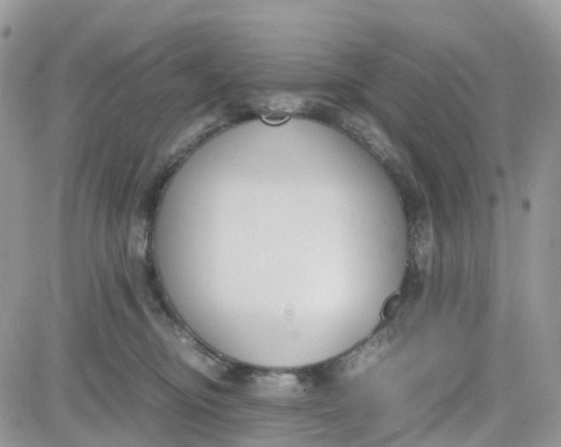 X0000081570374200701291221