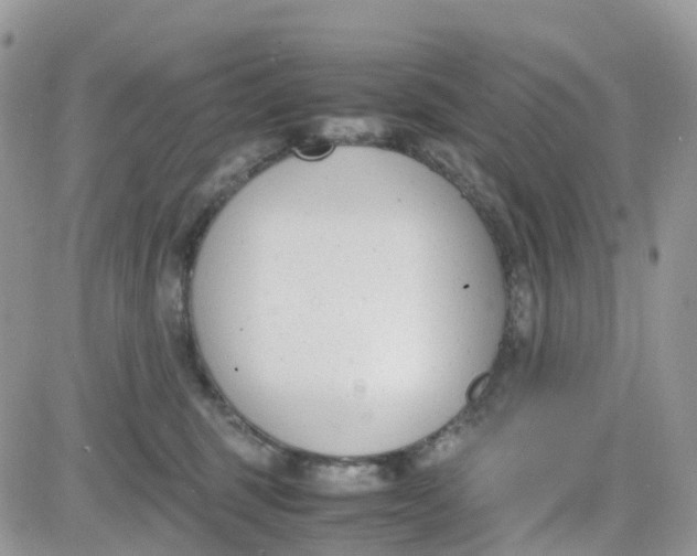 X0000081570375200701291221