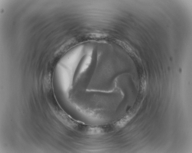 X0000081570376200701291221