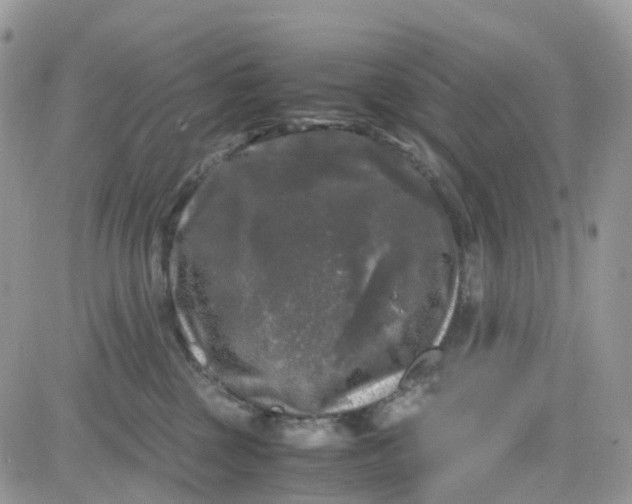 X0000081570377200701291221