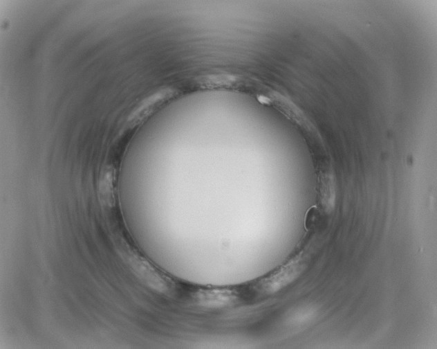 X0000081570378200701291221