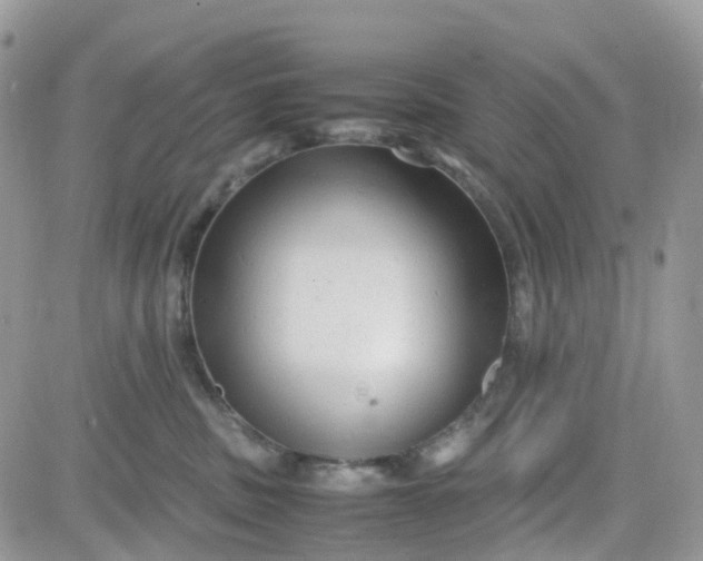 X0000081570379200701291221