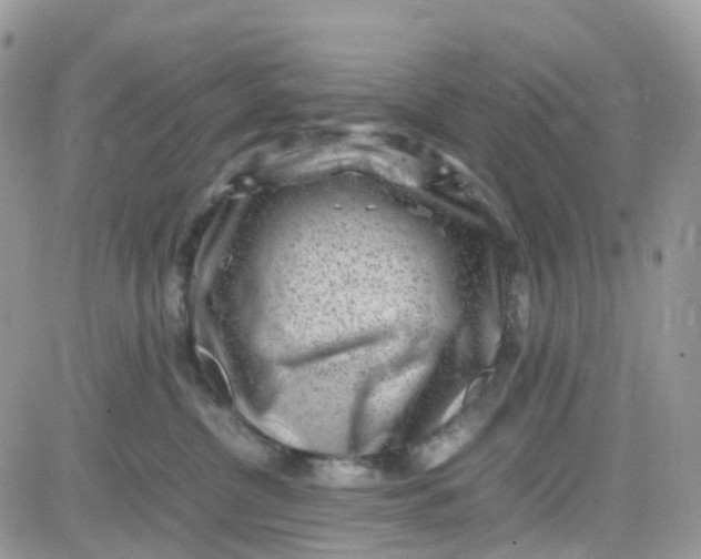 X0000081570380200701291221