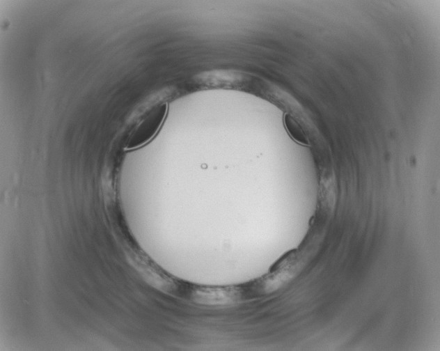 X0000081570381200701291221