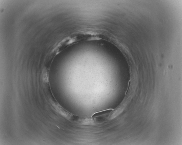 X0000081570384200701291221