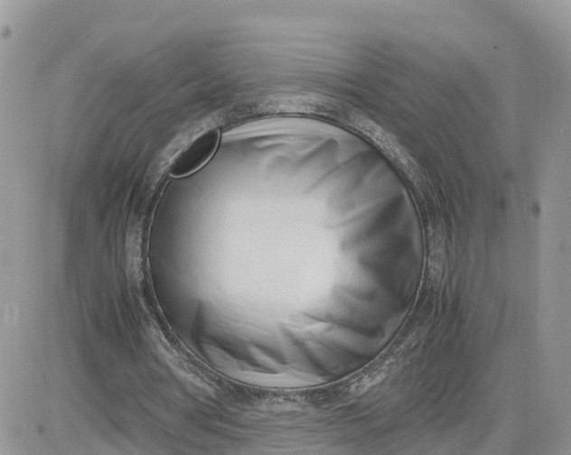 X0000081570386200701291220