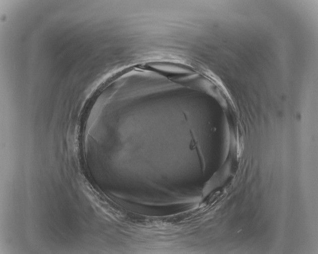 X0000081570387200701291220