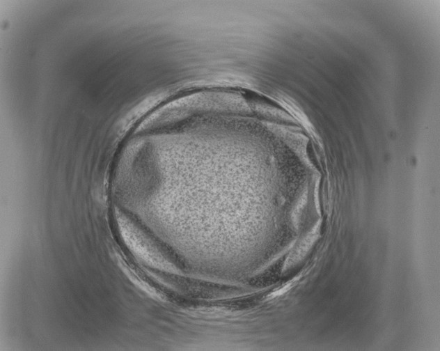 X0000081570389200701291220