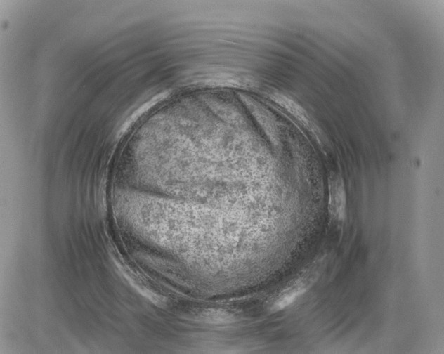 X0000081570390200701291220