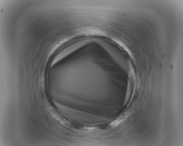 X0000081570391200701291220