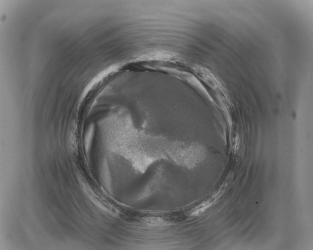 X0000081570392200701291220