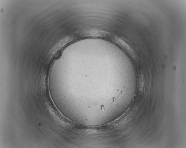 X0000081570394200701291220