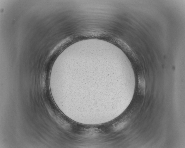 X0000081570396200701291220