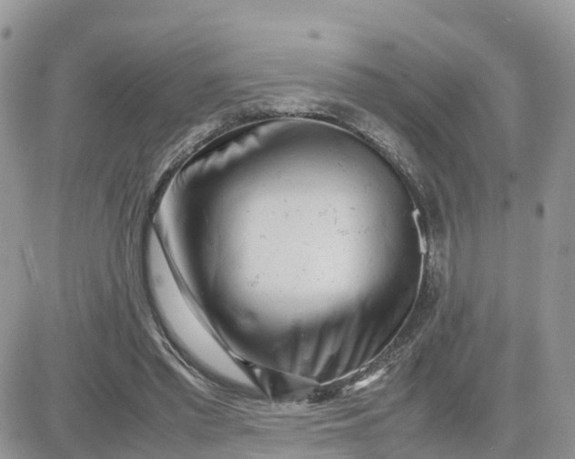 X0000081570397200701291220