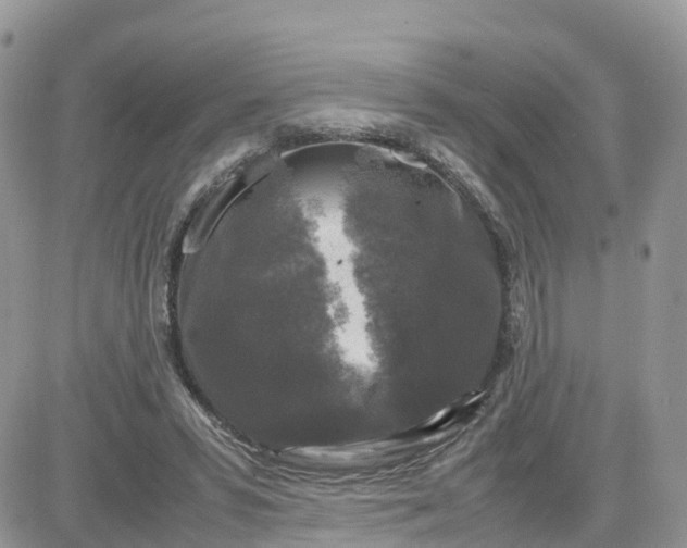 X0000081570399200701291220