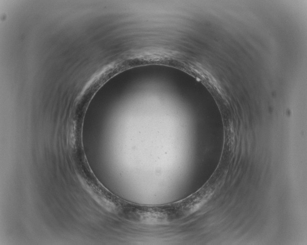 X0000081570400200701291220