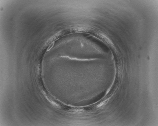 X0000081570401200701291220