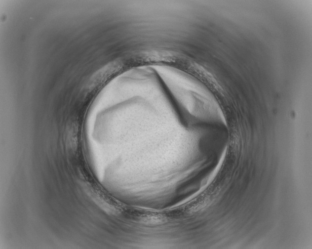 X0000081570402200701291220