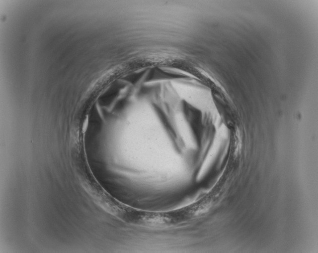 X0000081570407200701291220