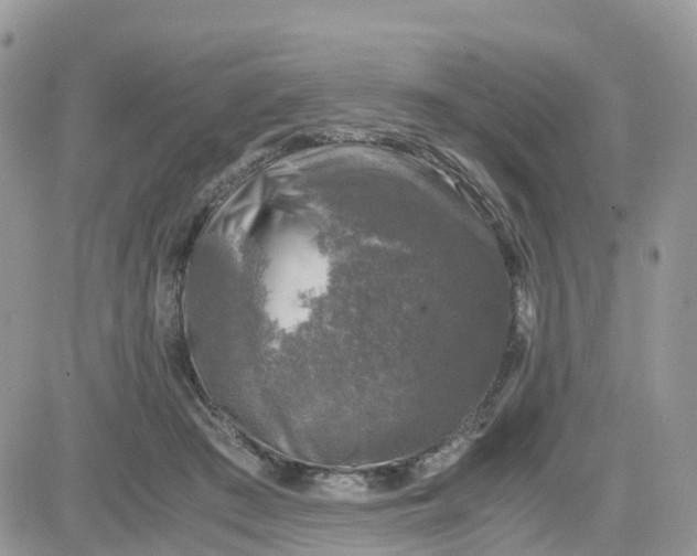 X0000081570409200701291220