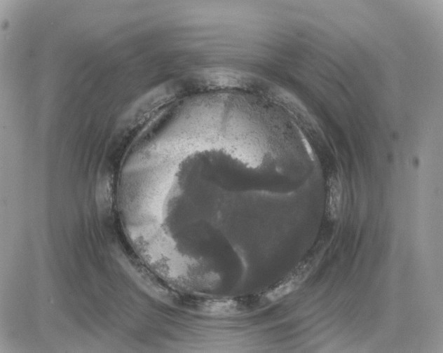 X0000081570410200701291220